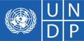 Программа развития Организации Объединенных Наций